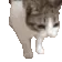 catdies