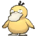 NotLikeDuck