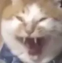 HHHCCCCCCCCCKKKKKK