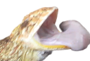 violence Discord emoji