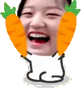 wonkekbonkcarrot