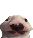 walter