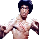 BruceLeeReady