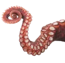 tentacle