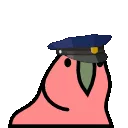 parrot_police
