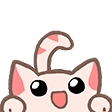 kawai1