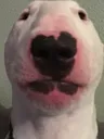 walter