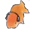 fishjam