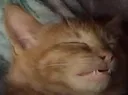 angrysigh