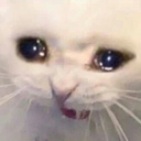 m8 Discord emoji