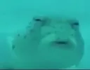 huh