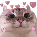 cat_hearts