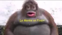 la_monke
