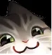 Smugcat