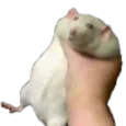1_GetGrabbed