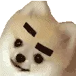 brows2