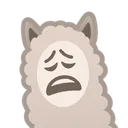 alpacaweary