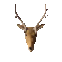 ScreamingDeer