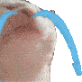 :catJamSad: