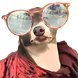 dinkLeisure