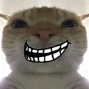 TrollKot Discord Emoji