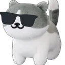 coolcat coolcat