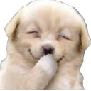 hehehe