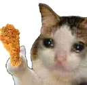 chick