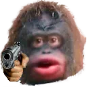 monke_gun