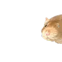 breadratstart