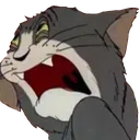 augh