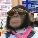 coolmonkey