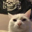 stare stare