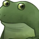 Concern Froge Discord Emoji