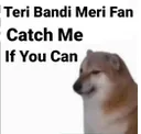 AFF_alone_teri_bandi AFF_alone_teri_bandi