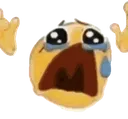 CryingAboutIt Discord Emoji