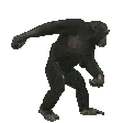 MonkeyPls