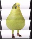 pearakeet Discord emoji