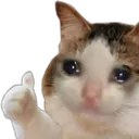 k_sad_thumbs