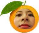 e_e_tangerino