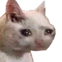 CatCry Discord Emoji