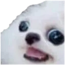 Dog Scared DogScared Discord Emoji