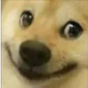 Dogeyes Discord Emoji