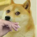 Dogecry Discord Emoji