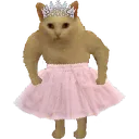 Princesskitty