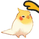 BirdPat