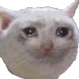 catshakeoffthetears Discord Emoji