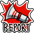 report report