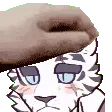 MountainPet MountainPet