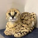 earless